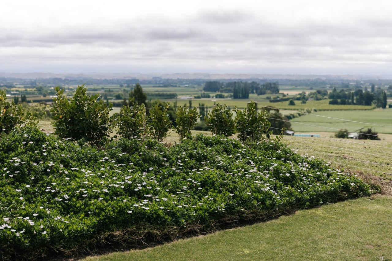 Birds Eye View Διαμέρισμα Havelock North Εξωτερικό φωτογραφία